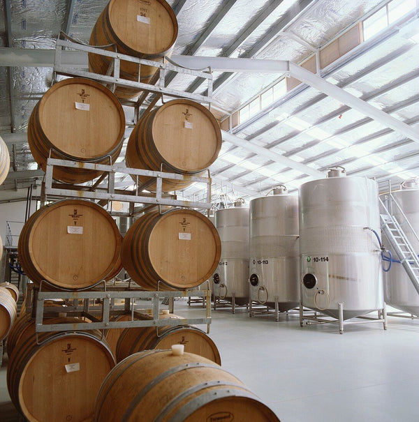 Winemaking in Action: Tanks and Fermentation!